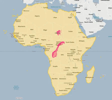 norway overlaid on africa